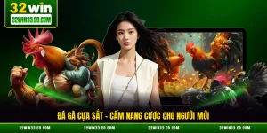 đá gà cựa sắt cẩm nang cược cho người mới